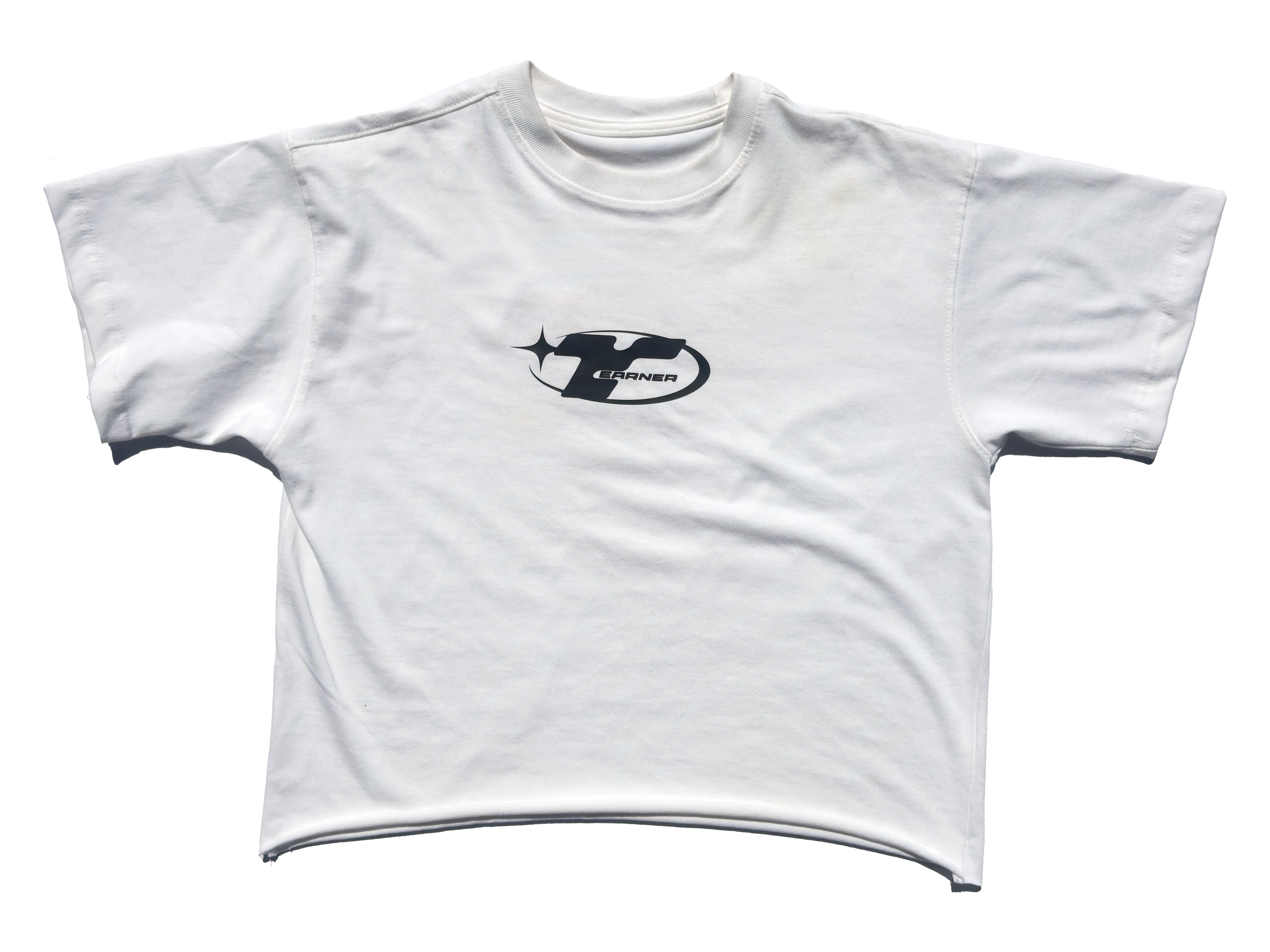 Top EARNER - SOAR LIKE AN EAGLE Shirt